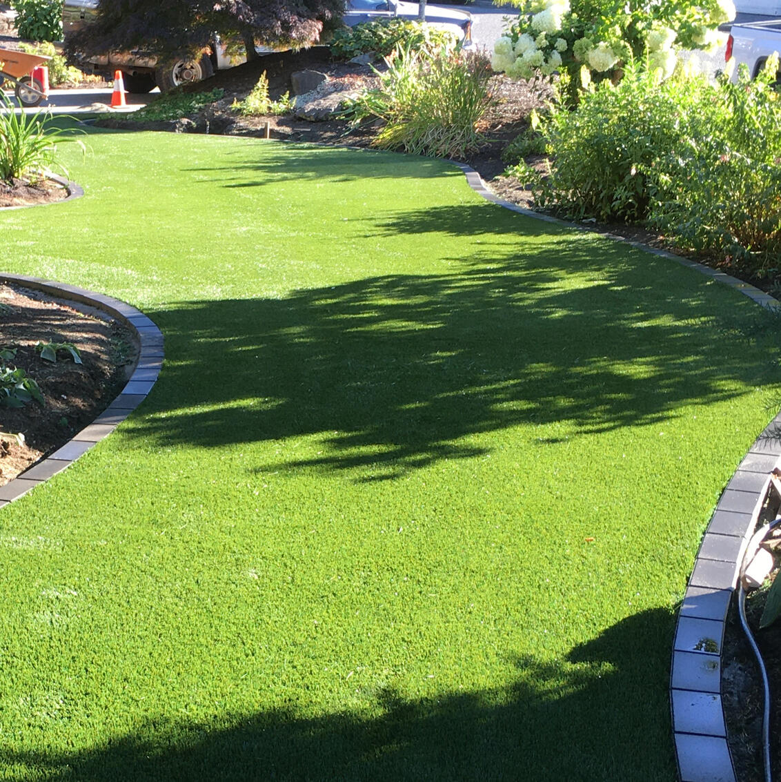 Yard
